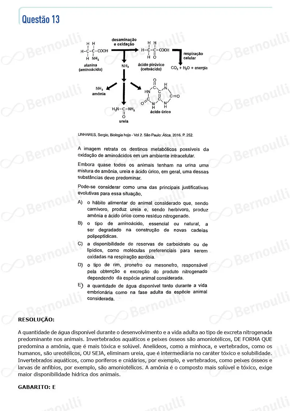 Questu00e3o 13 - Questu00f5es - 2022 - 1u00ba Semestre - BAHIANA