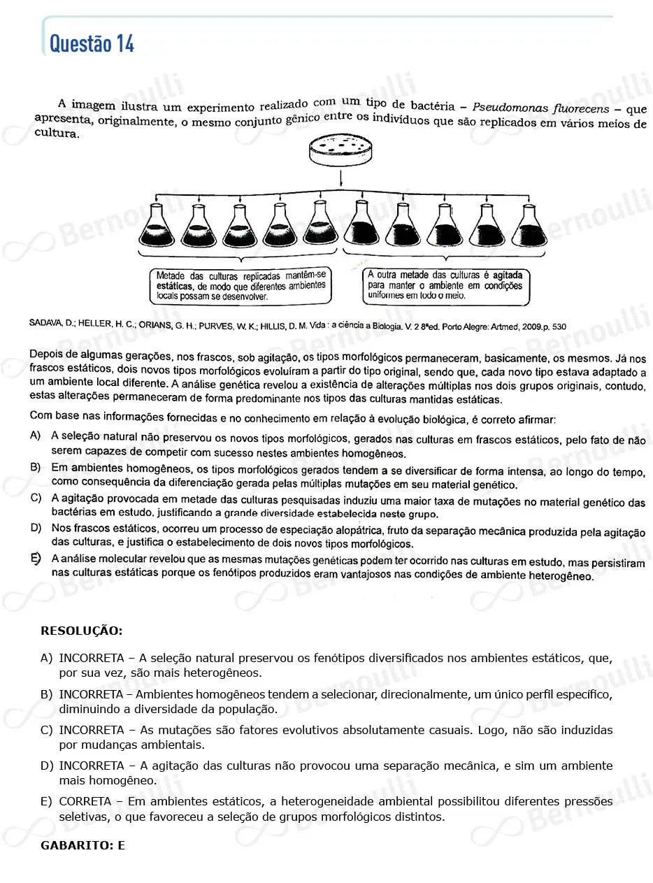 Questu00e3o 14 - Questu00f5es - 2022 - 1u00ba Semestre - BAHIANA