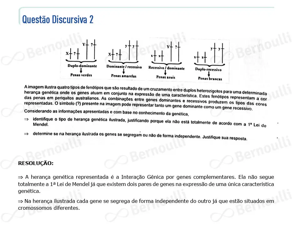 Questu00e3o 37 - Questu00f5es - 2022 - 2u00ba Semestre - BAHIANA