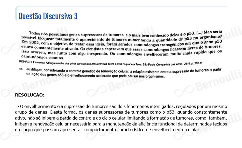 Questu00e3o 38 - Questu00f5es - 2022 - 2u00ba Semestre - BAHIANA