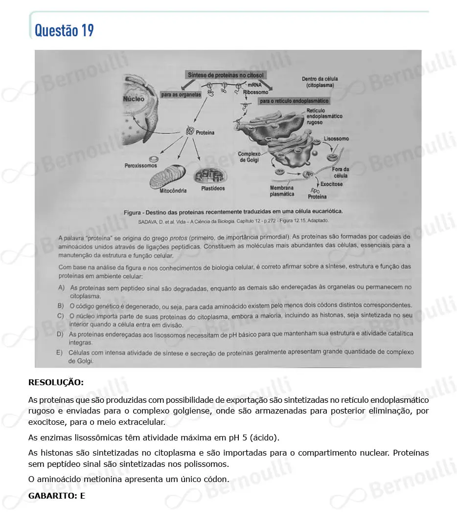 Questu00e3o 19 - Questu00f5es - 2023 - 2u00ba Semestre - BAHIANA