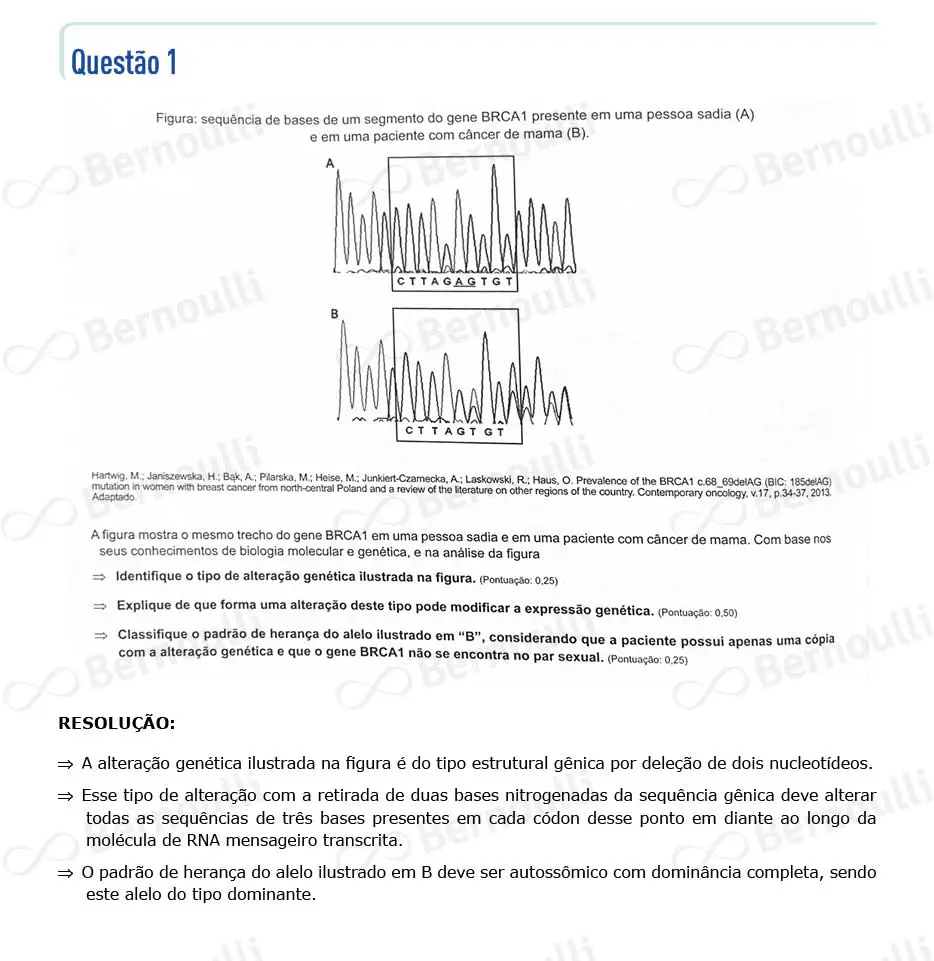 Questu00e3o 36 - Questu00f5es - 2024 - 1u00ba Semestre - BAHIANA