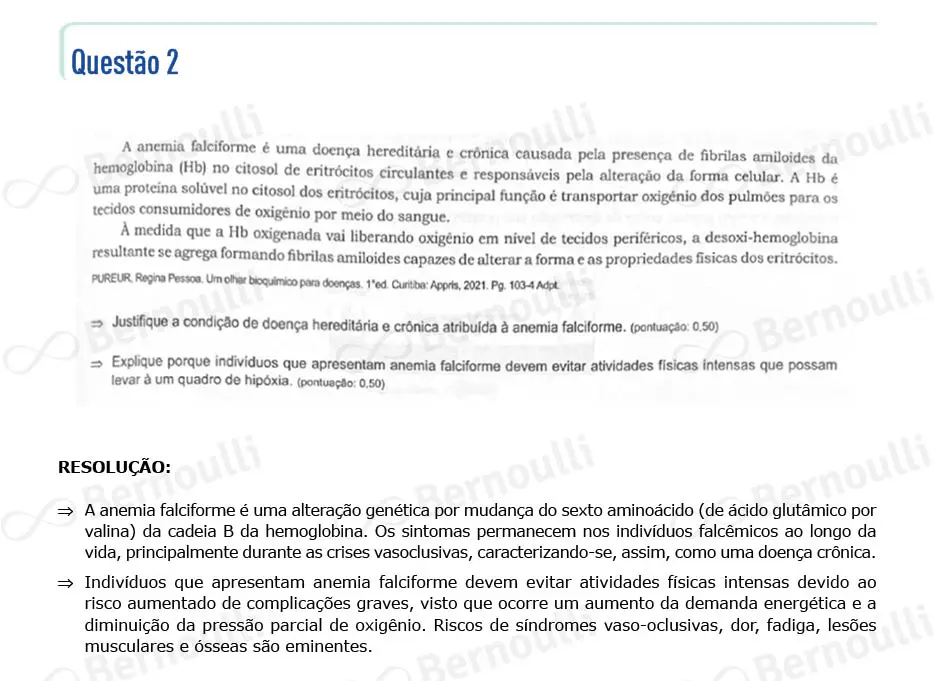 Questu00e3o 37 - Questu00f5es - 2024 - 2u00ba Semestre - BAHIANA