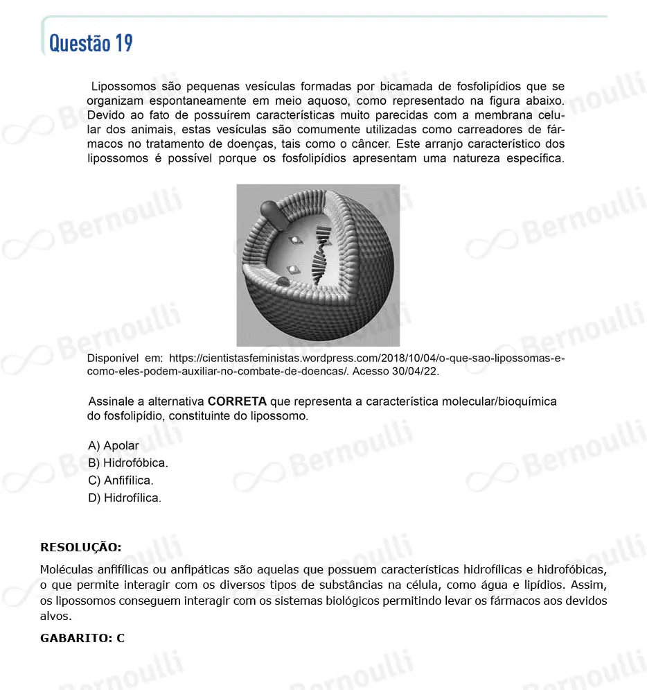 Questu00e3o 19 - Questu00f5es - 2022 - 2u00ba Semestre - CMMG