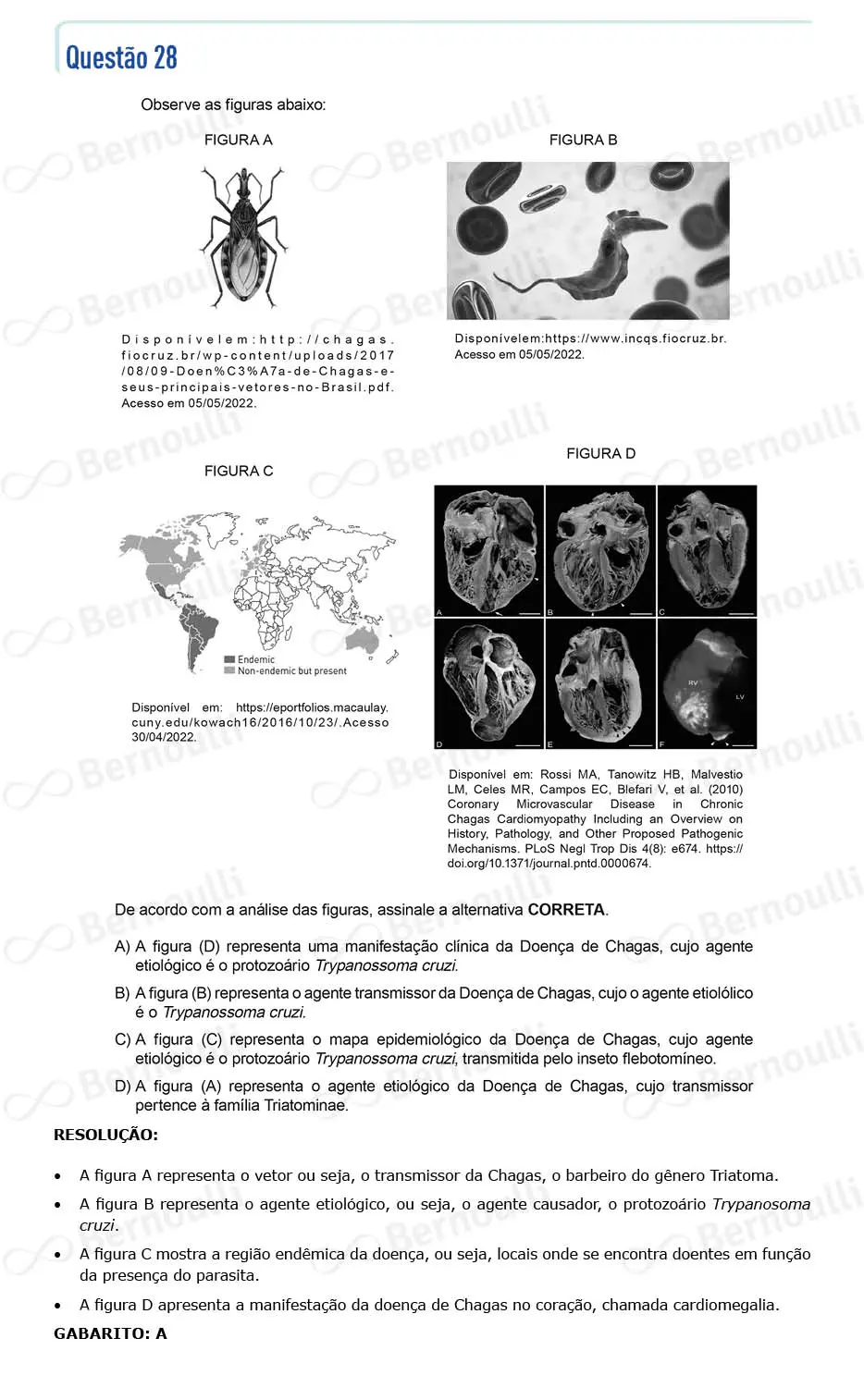 Questu00e3o 28 - Questu00f5es - 2022 - 2u00ba Semestre - CMMG