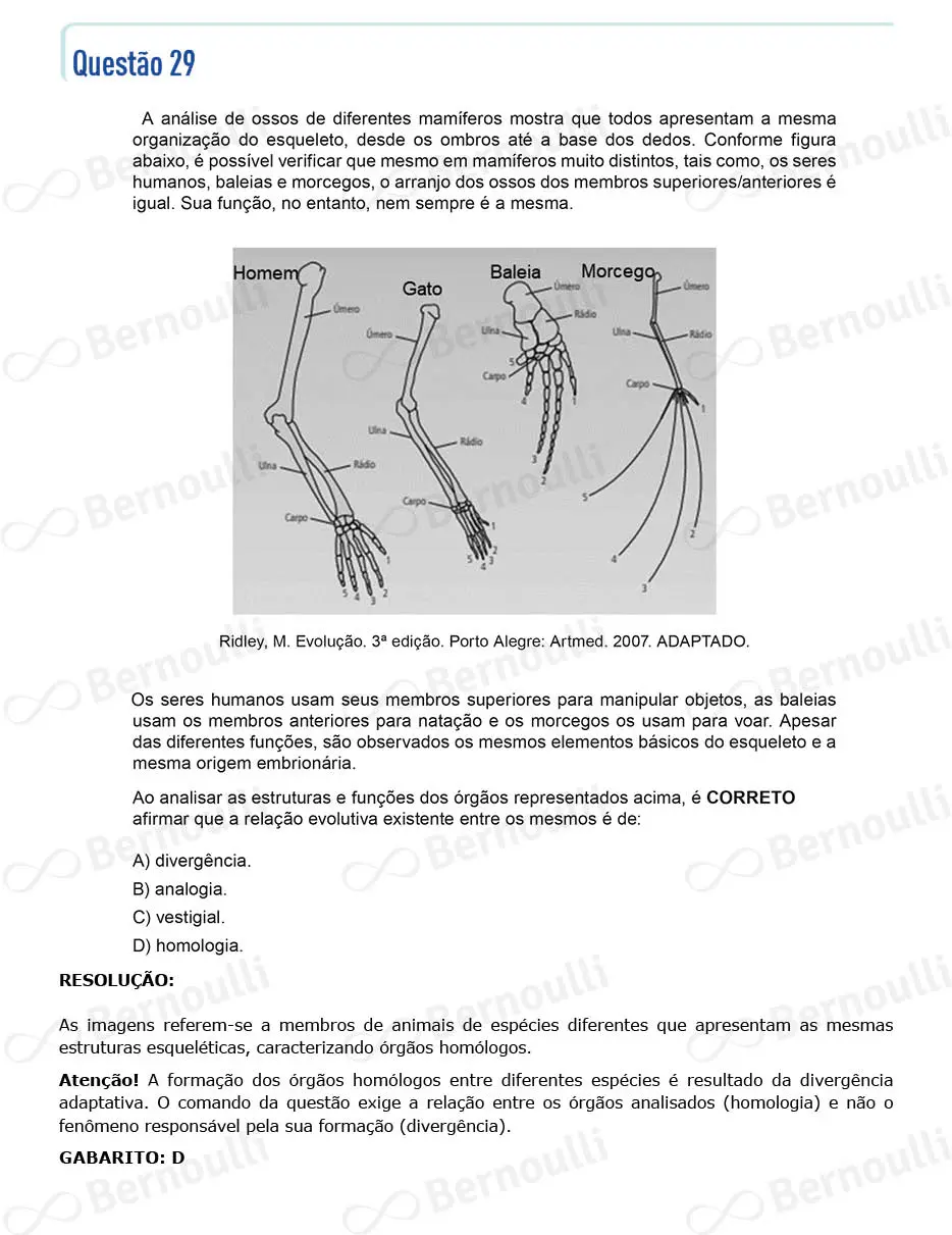 Questu00e3o 29 - Questu00f5es - 2022 - 2u00ba Semestre - CMMG