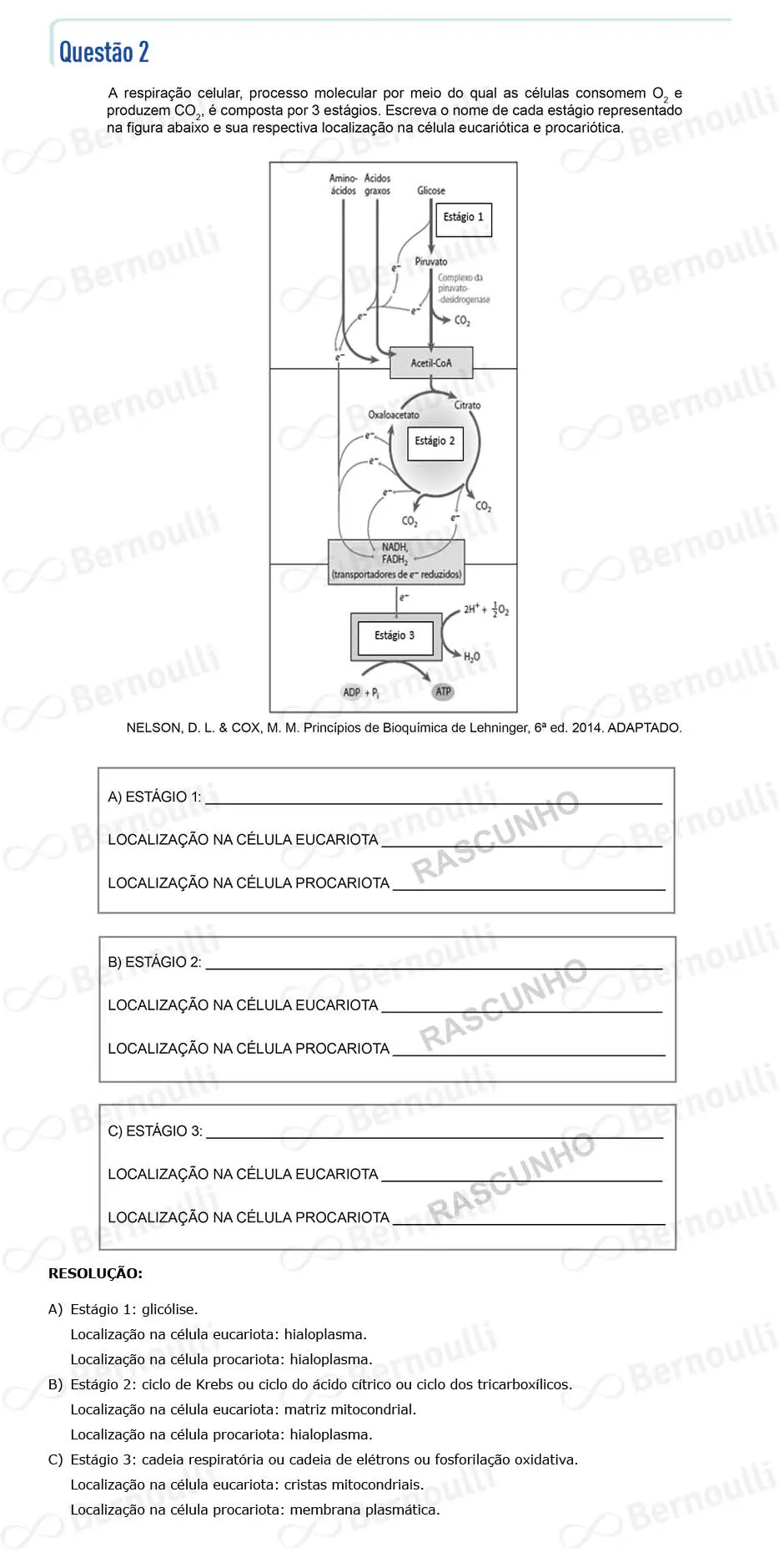 Questu00e3o 57 - Questu00f5es - 2022 - 2u00ba Semestre - CMMG