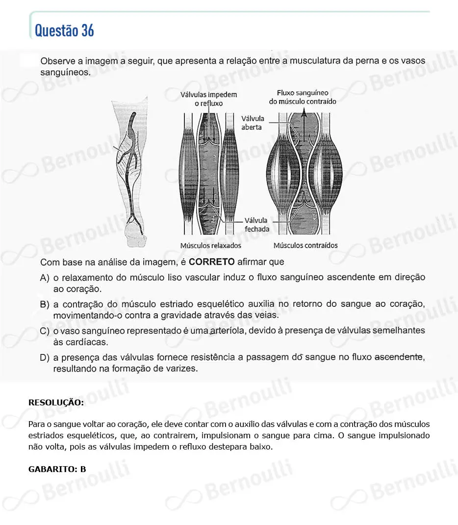 Questu00e3o 36 - Questu00f5es - 2023 - 2u00ba Semestre - CMMG