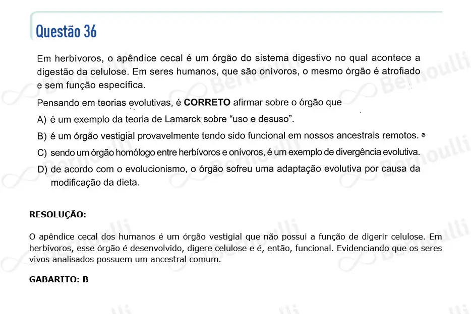 Questu00e3o 36 - Questu00f5es - 2024 - 1u00ba Semestre - CMMG