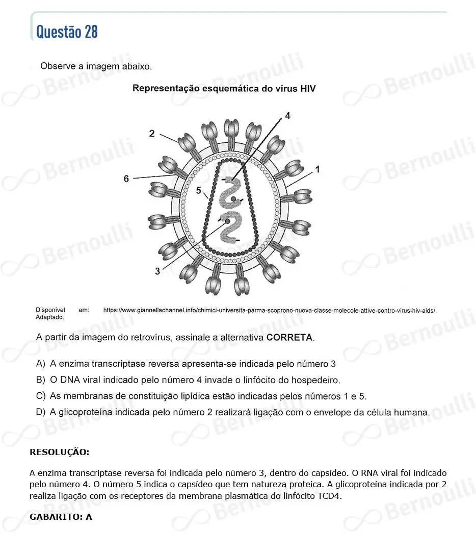 Questu00e3o 28 - Questu00f5es - 2024 - 2u00ba Semestre - CMMG