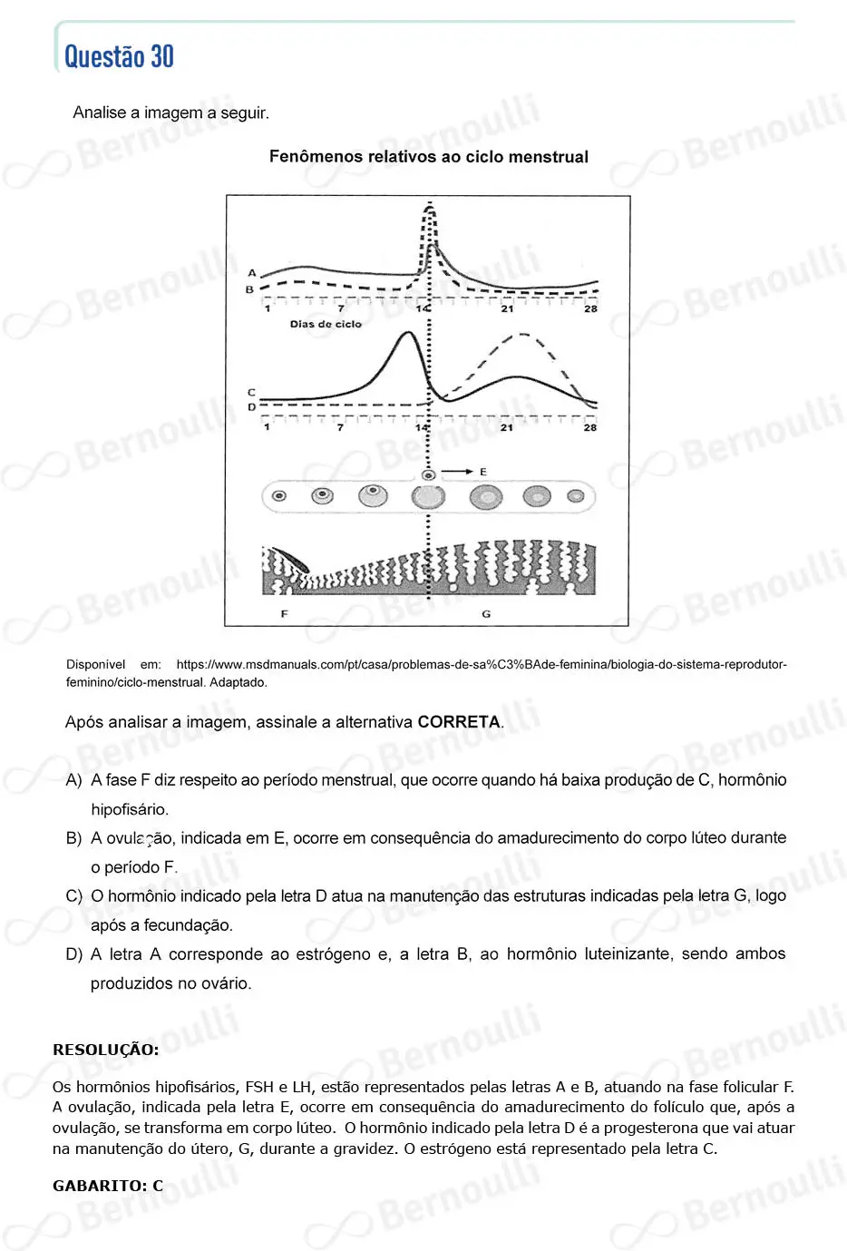 Questu00e3o 30 - Questu00f5es - 2024 - 2u00ba Semestre - CMMG