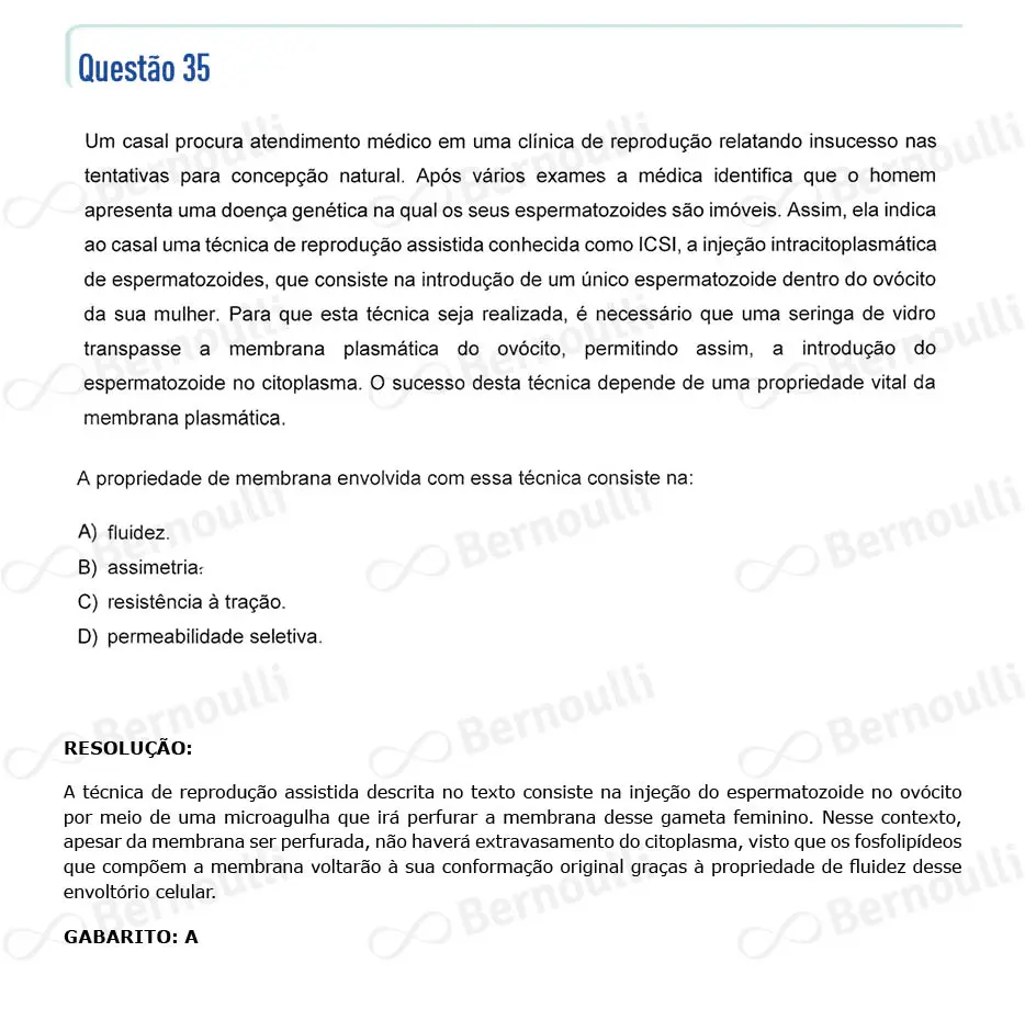 Questu00e3o 35 - Questu00f5es - 2024 - 2u00ba Semestre - CMMG