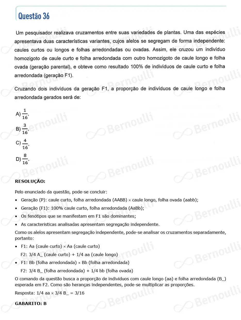 Questu00e3o 36 - Questu00f5es - 2024 - 2u00ba Semestre - CMMG