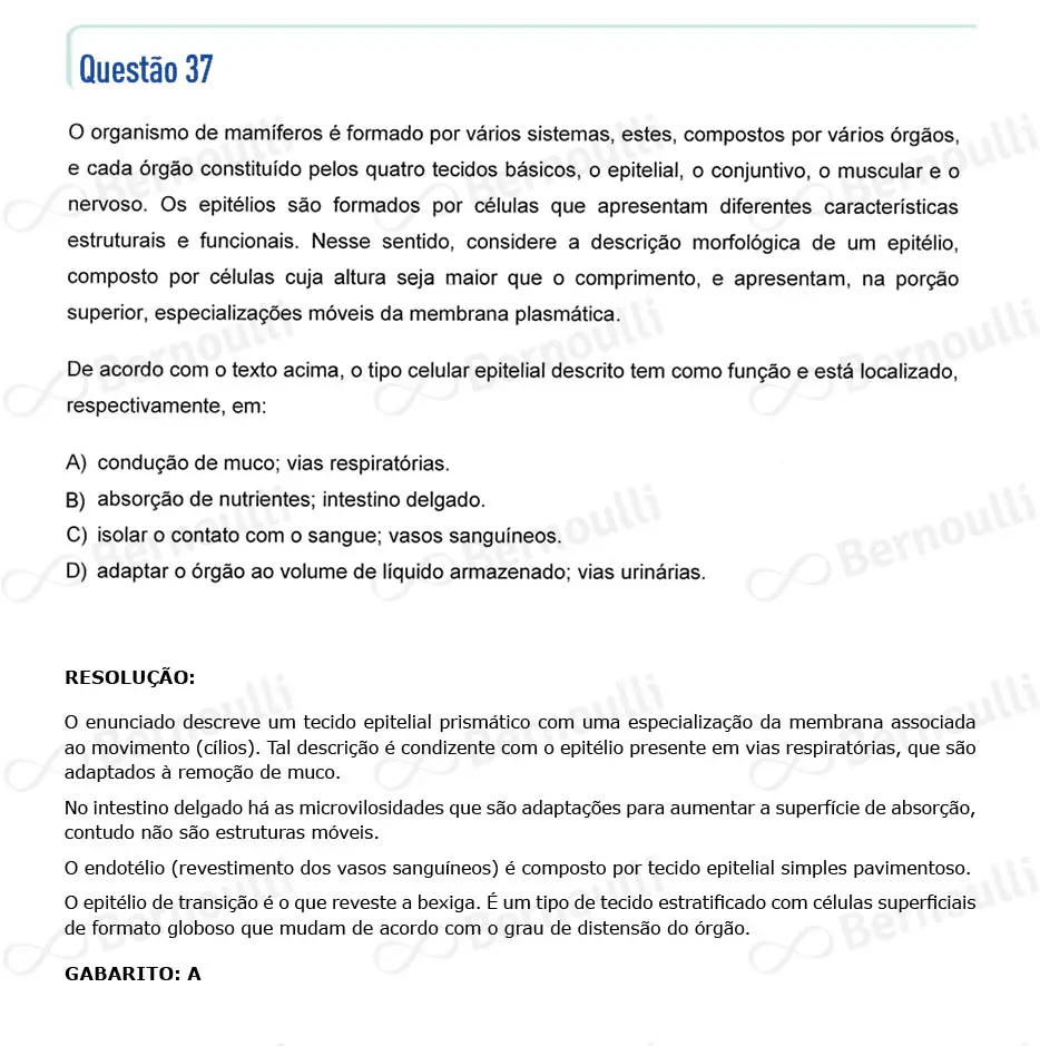 Questu00e3o 37 - Questu00f5es - 2024 - 2u00ba Semestre - CMMG