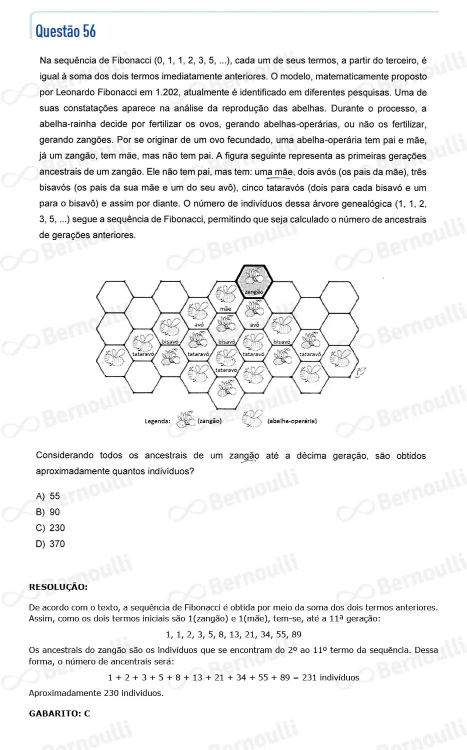 Questu00e3o 56 - Questu00f5es - 2024 - 2u00ba Semestre - CMMG