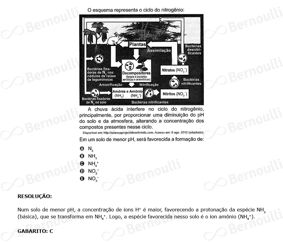 Questão 100 - Caderno Amarelo - 2023 - 2º Dia - Enem