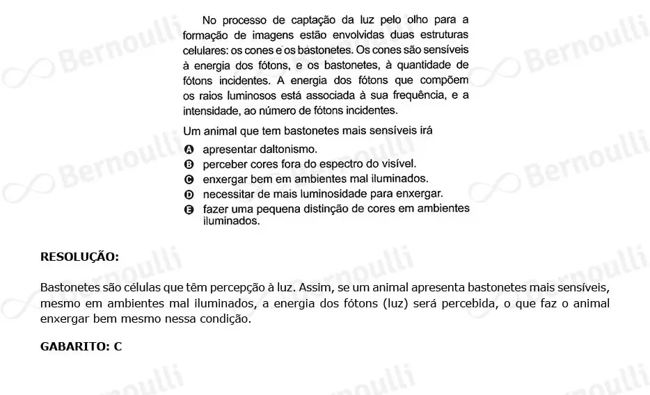 Questão 101 - Caderno Amarelo - 2023 - 2º Dia - Enem