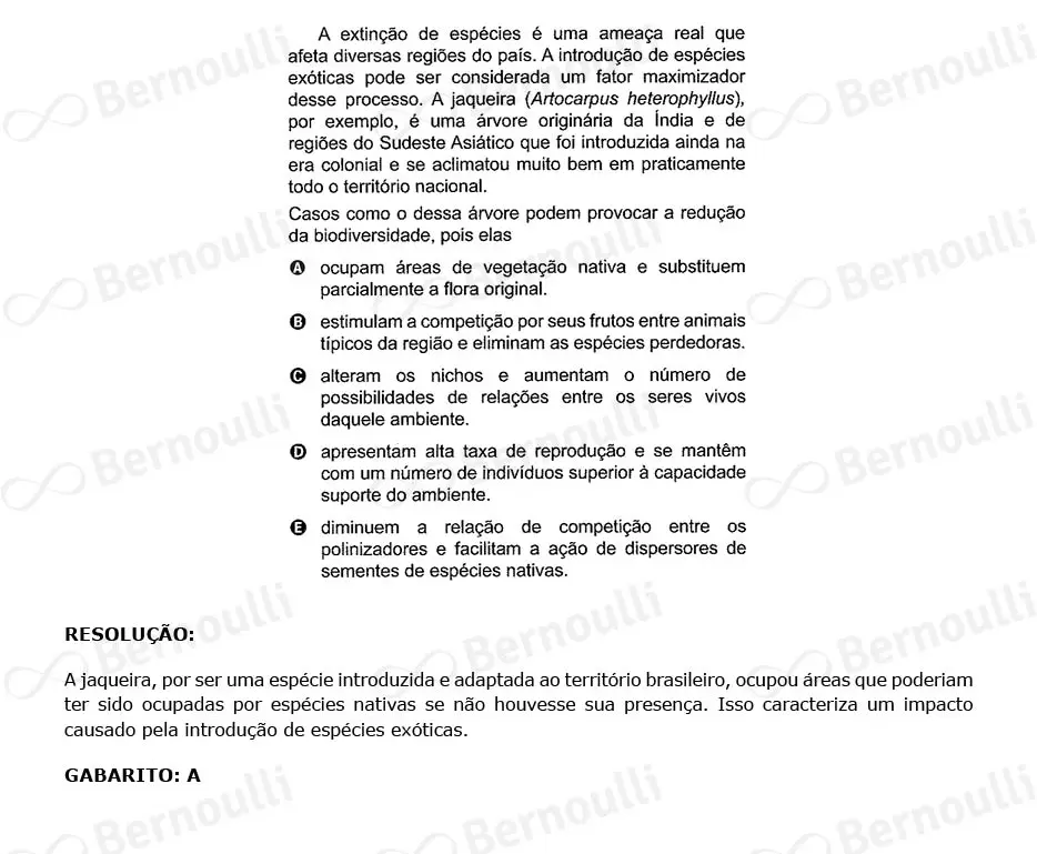 Questão 104 - Caderno Amarelo - 2023 - 2º Dia - Enem