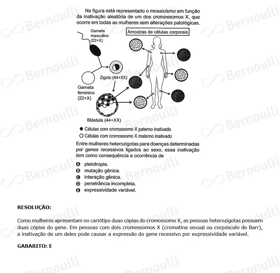 Questu00e3o 117 - Caderno Amarelo - 2023 - 2u00ba Dia - Enem