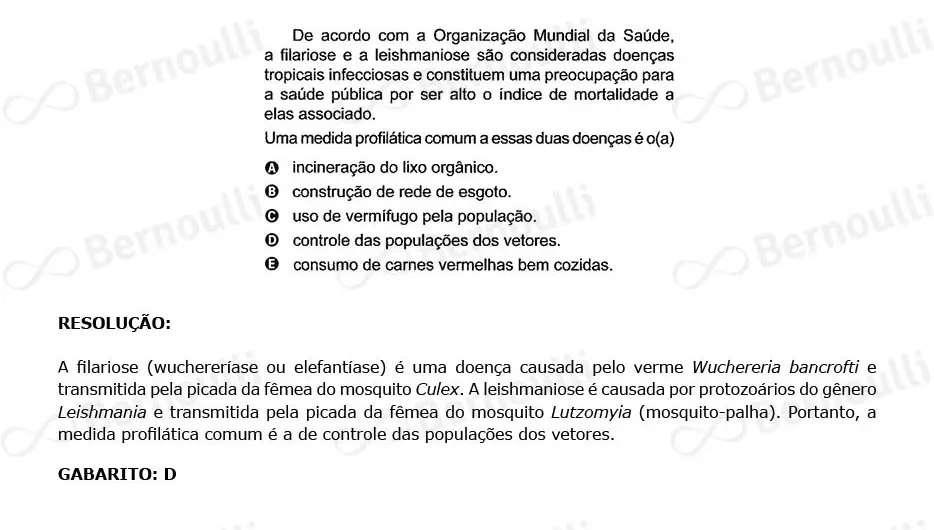 Questão 123 - Caderno Amarelo - 2023 - 2º Dia - Enem