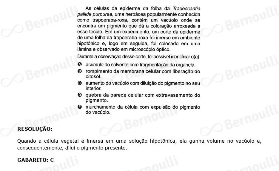 Questu00e3o 128 - Caderno Amarelo - 2023 - 2u00ba Dia - Enem