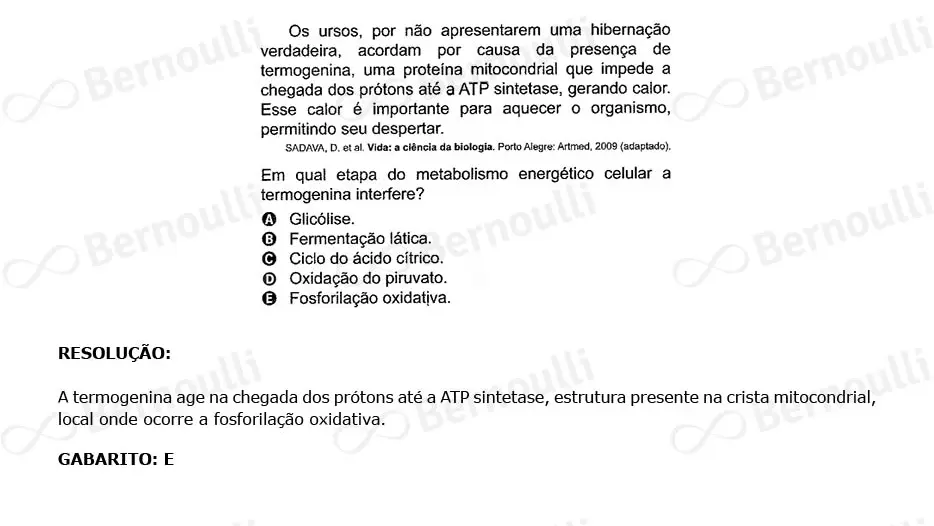 Questão 98 - Caderno Amarelo - 2023 - 2º Dia - Enem