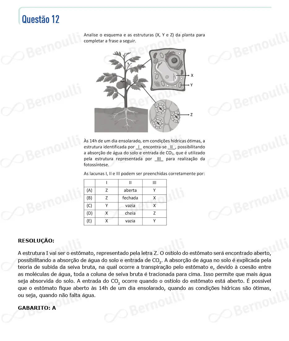 Questu00e3o 12 - V - 2022 - 1u00ba Fase - Fuvest