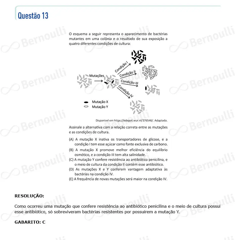 Questu00e3o 13 - V - 2022 - 1u00ba Fase - Fuvest