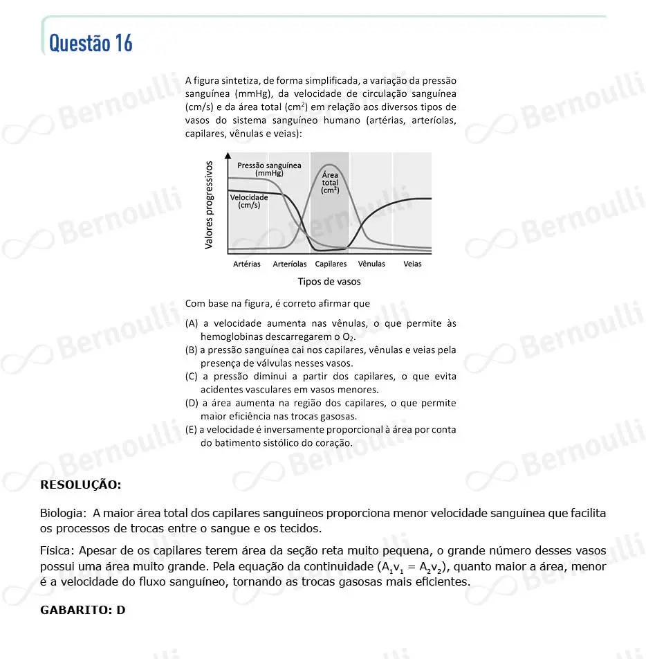 Questu00e3o 16 - V - 2022 - 1u00ba Fase - Fuvest