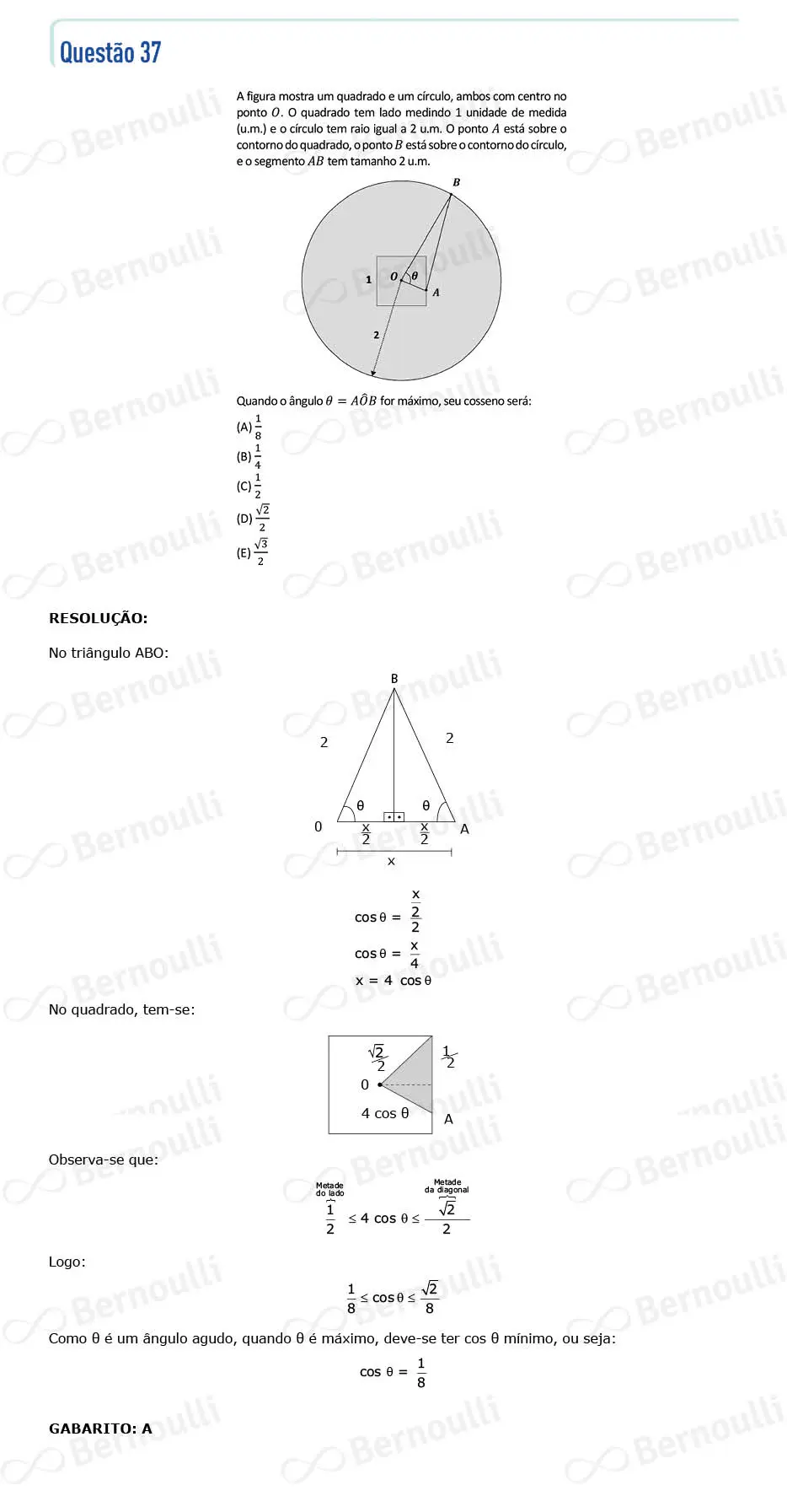 Questu00e3o 37 - V - 2022 - 1u00ba Fase - Fuvest