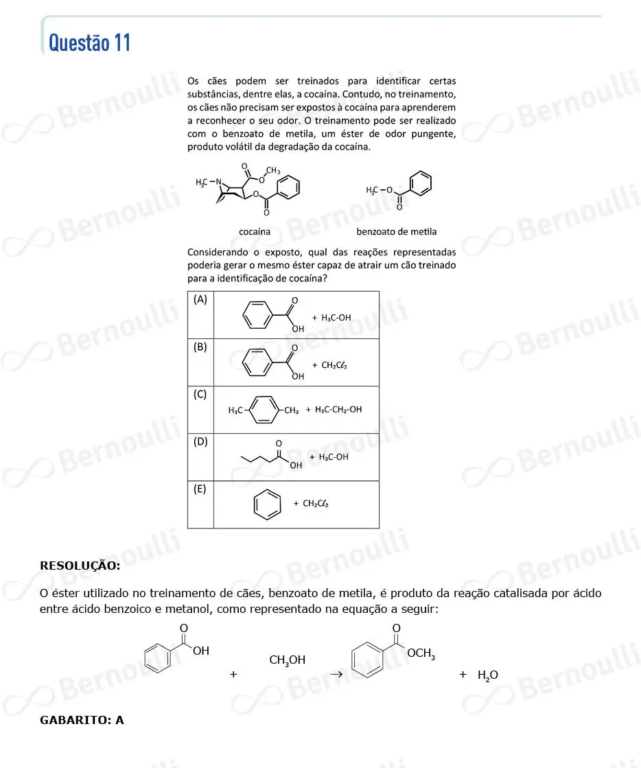 Questu00e3o 11 - V - 2023 - 1u00ba Fase - Fuvest