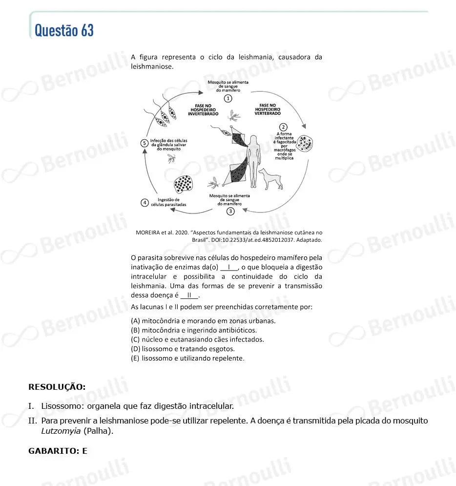 Questu00e3o 63 - V - 2023 - 1u00ba Fase - Fuvest