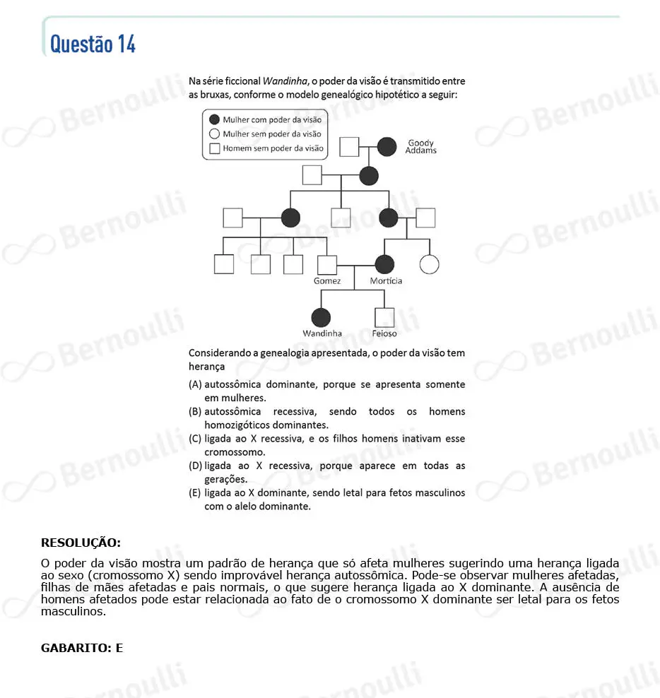 Questu00e3o 14 - V - 2024 - 1u00ba Fase - Fuvest