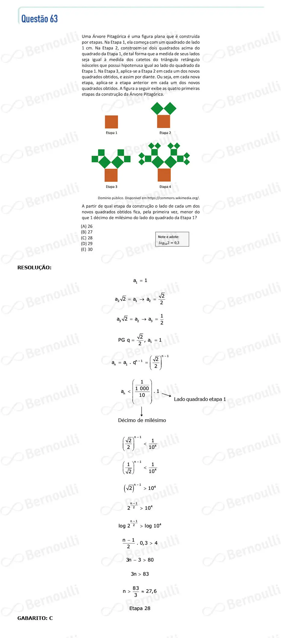 Questu00e3o 63 - V - 2024 - 1u00ba Fase - Fuvest