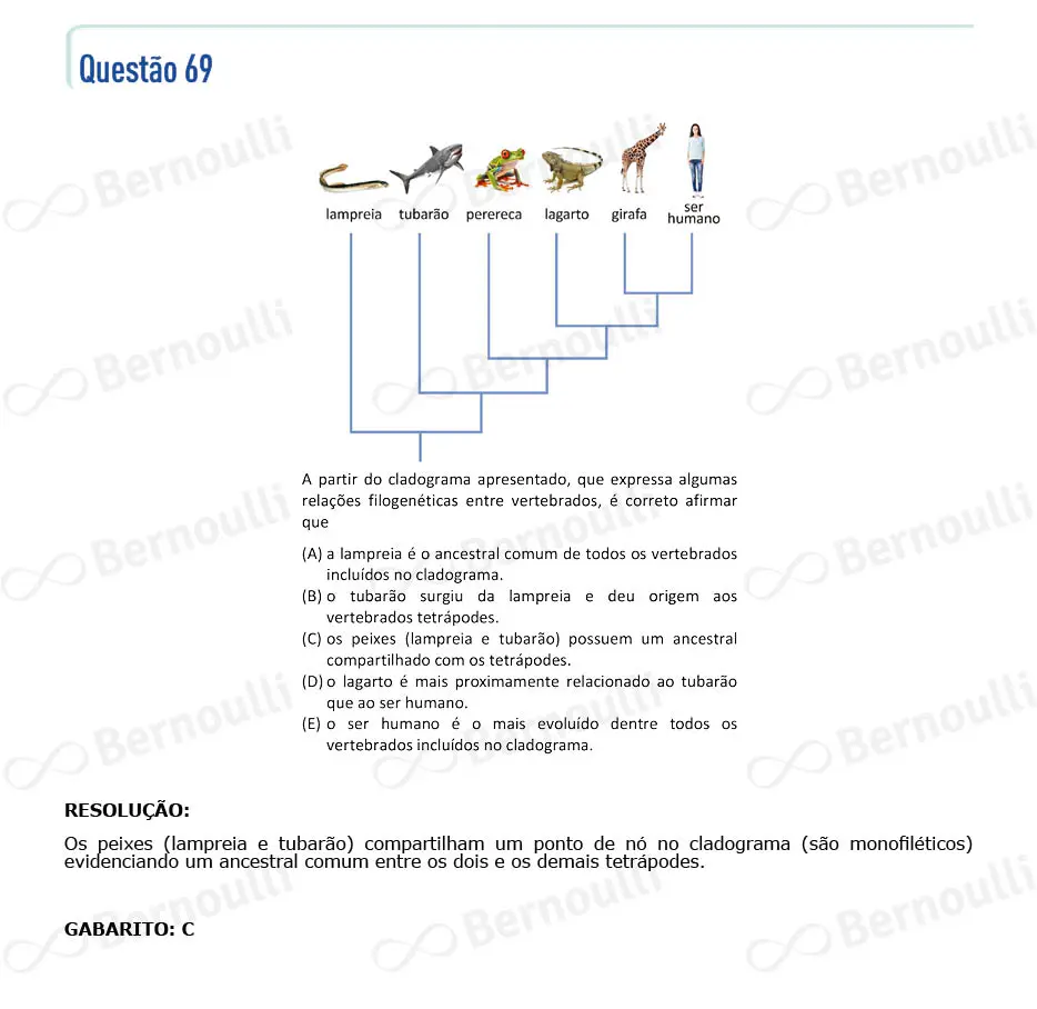 Questu00e3o 69 - V - 2024 - 1u00ba Fase - Fuvest