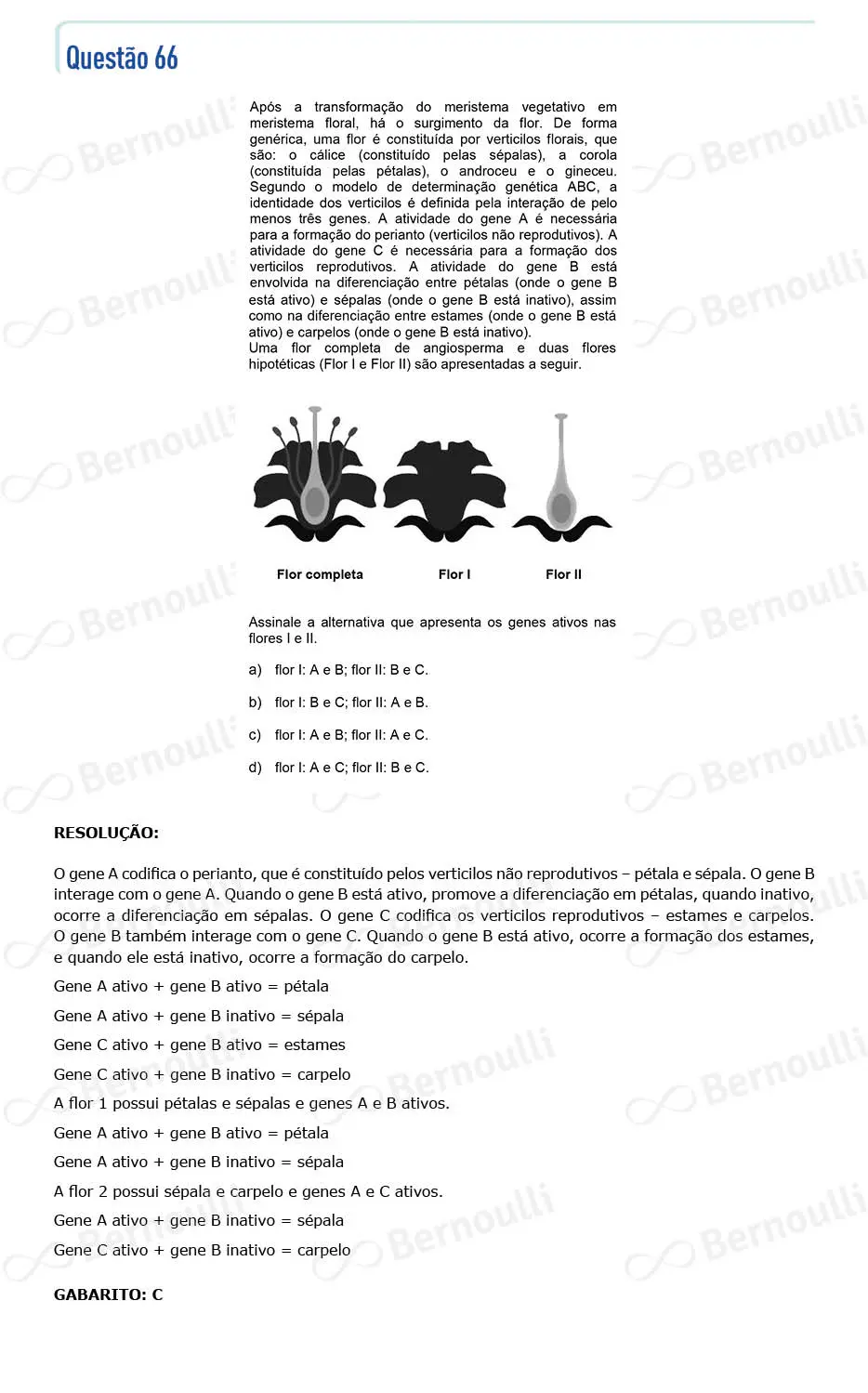 Questu00e3o 66 - Prova Q e X - 2022 - 1u00aa Fase - Unicamp