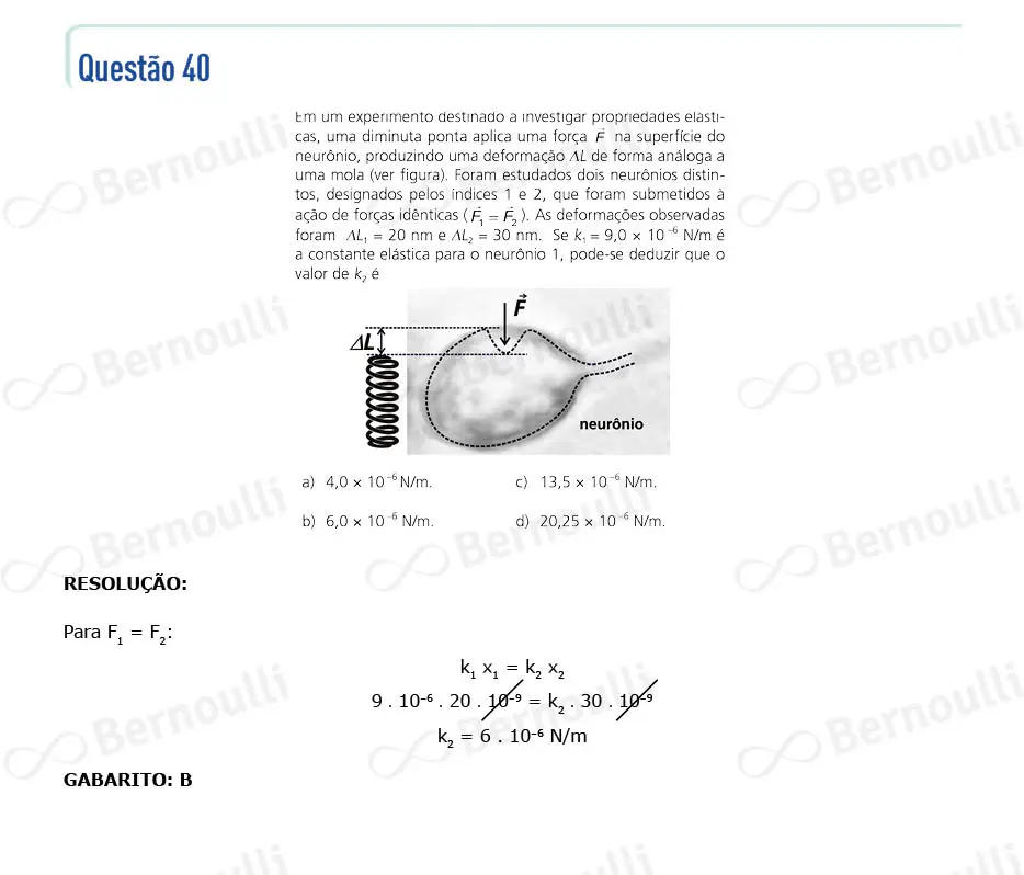 Questu00e3o 40 - Prova Q e Y - 2024 - 1u00aa Fase - Unicamp