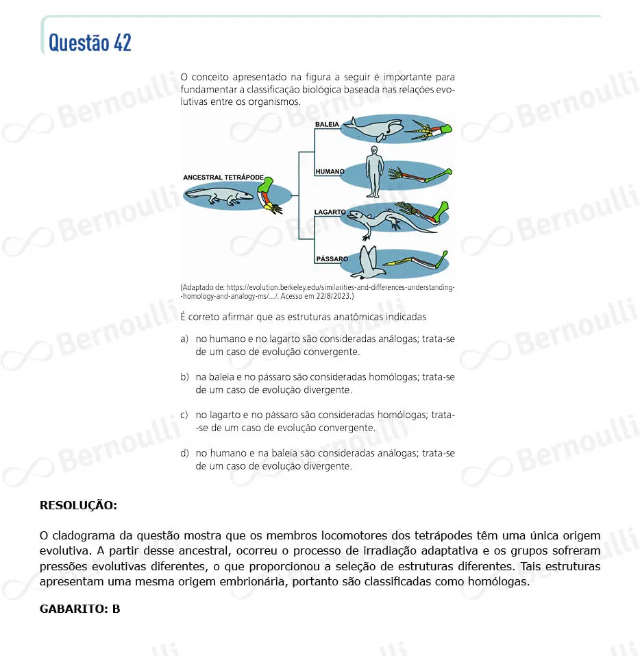 Questu00e3o 42 - Prova Q e Y - 2024 - 1u00aa Fase - Unicamp