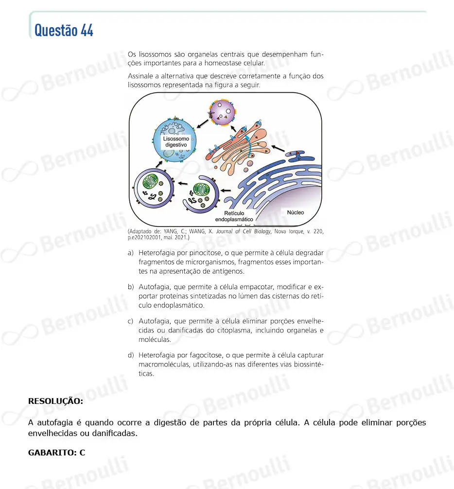 Questu00e3o 44 - Prova Q e Y - 2024 - 1u00aa Fase - Unicamp